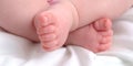 Baby Toes Royalty Free Stock Photo