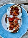 Baby Tomatoes on Bruschetta Toast with Burrata Cheese and Roasted Garlic