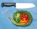 baby tomatoes. carrot. broccoli. knife. on wood blue sky background. space