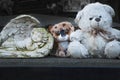 Baby tombstone in the cemetery. Angel and plush toys concept: death, loss