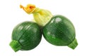 Baby Tondo zucchini with flower isolated