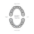 Baby Tooth Chart Baby mouth. Primary teeth, deciduous teeth, or milk teeth. Childrens dentistry thin line art icons