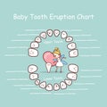 Baby tooth chart eruption record