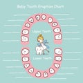 Baby tooth chart eruption record Royalty Free Stock Photo
