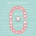 Baby tooth chart record Royalty Free Stock Photo