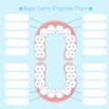 Baby tooth eruption chart