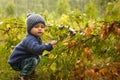 Baby touching green tree leaves Royalty Free Stock Photo