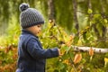 Baby touching green tree leaves Royalty Free Stock Photo