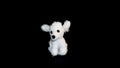 Baby stuffed toy, white little dog on black background