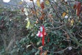 A pacifier tree is used to make it easier for a toddler to be weaned from the pacifier. Berlin, Germany Royalty Free Stock Photo