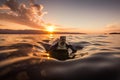 baby turtle swimming in the ocean, with view of the sunset Royalty Free Stock Photo