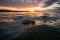 baby turtle swimming in the ocean, with view of the sunset Royalty Free Stock Photo