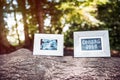 Baby Ultrasound and Coming Soon Photo Frames on Tree Trunk in Forest. Royalty Free Stock Photo