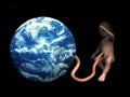 Baby Umbilical Cord Attached To Mother Earth 2