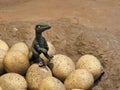 Baby Velociraptor Hatching from Egg in Nest â Dinosaur Model on Earthy Background Royalty Free Stock Photo