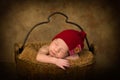 Baby in vintage bucket Royalty Free Stock Photo