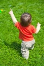 Baby walking in grass Royalty Free Stock Photo