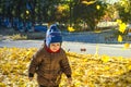 Baby walks in the park on fallen colorful leaves in autumn day