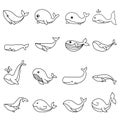 Baby whale icon vector set. Whale illustration sign collection. Sperm whale symbol. Sea life logo. Royalty Free Stock Photo