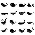 Baby whale icon vector set. Whale illustration sign collection. Sperm whale symbol. Sea life logo. Royalty Free Stock Photo