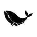 Baby whale icon vector. Whale illustration sign. Sperm whale symbol. Sea life logo. Royalty Free Stock Photo