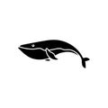 Baby whale icon vector. Whale illustration sign. Sperm whale symbol. Sea life logo. Royalty Free Stock Photo