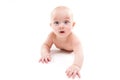 Baby on a white background smiling and looking at the came Royalty Free Stock Photo