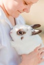 Baby and white fluffy rabbit close. pets