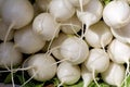 Baby White Turnips   836654 Royalty Free Stock Photo