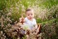 Baby among the wildflowers in a field in the summer, the child in the fresh air
