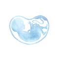 Baby in womb. Blue child silhouette.Watercolor