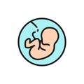 Baby in the womb, embryo, human fetus flat color line icon.