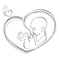 Baby in the womb heart shaped with umbilical cord Line drawing Logo,icon,Vector illustration Embryo in the womb Royalty Free Stock Photo