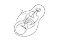 Baby in womb one single line drawing. Cute unborn fetus baby on mother womb isolated on white background. Pregnancy health care Royalty Free Stock Photo