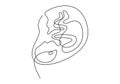 Baby in womb one single line drawing. Cute unborn fetus baby on mother womb isolated on white background. Pregnancy health care Royalty Free Stock Photo