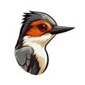 Baby Woodpecker Face Bird Sticker On Isolated Tansparent Background, Png, Logo. Generative AI