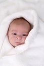 Baby wrapped in towel Royalty Free Stock Photo