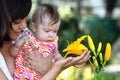 Baby and Yellow Lilly Royalty Free Stock Photo