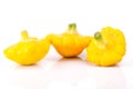 Baby Yellow Squash Group