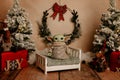 Baby Yoda - Christmas photosession