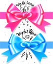 Babyboy and babygirl shiny gift bow. Blue and pink present bows with lettering and decoration