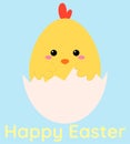 Easter greeting card with funny chicken. Newborn little cute chick, small baby bird emergence from egg.