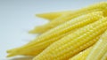 Babycorn macro shot on the white background