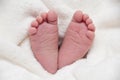 Babyfeet Royalty Free Stock Photo