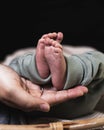 Babyfeet and the Hand of the Mother