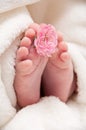 Babyfeet with pink flower