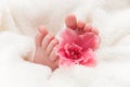 Babyfeet with pink flower