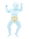a babys colon Royalty Free Stock Photo