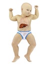 A babys liver Royalty Free Stock Photo