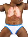 A babys lung Royalty Free Stock Photo